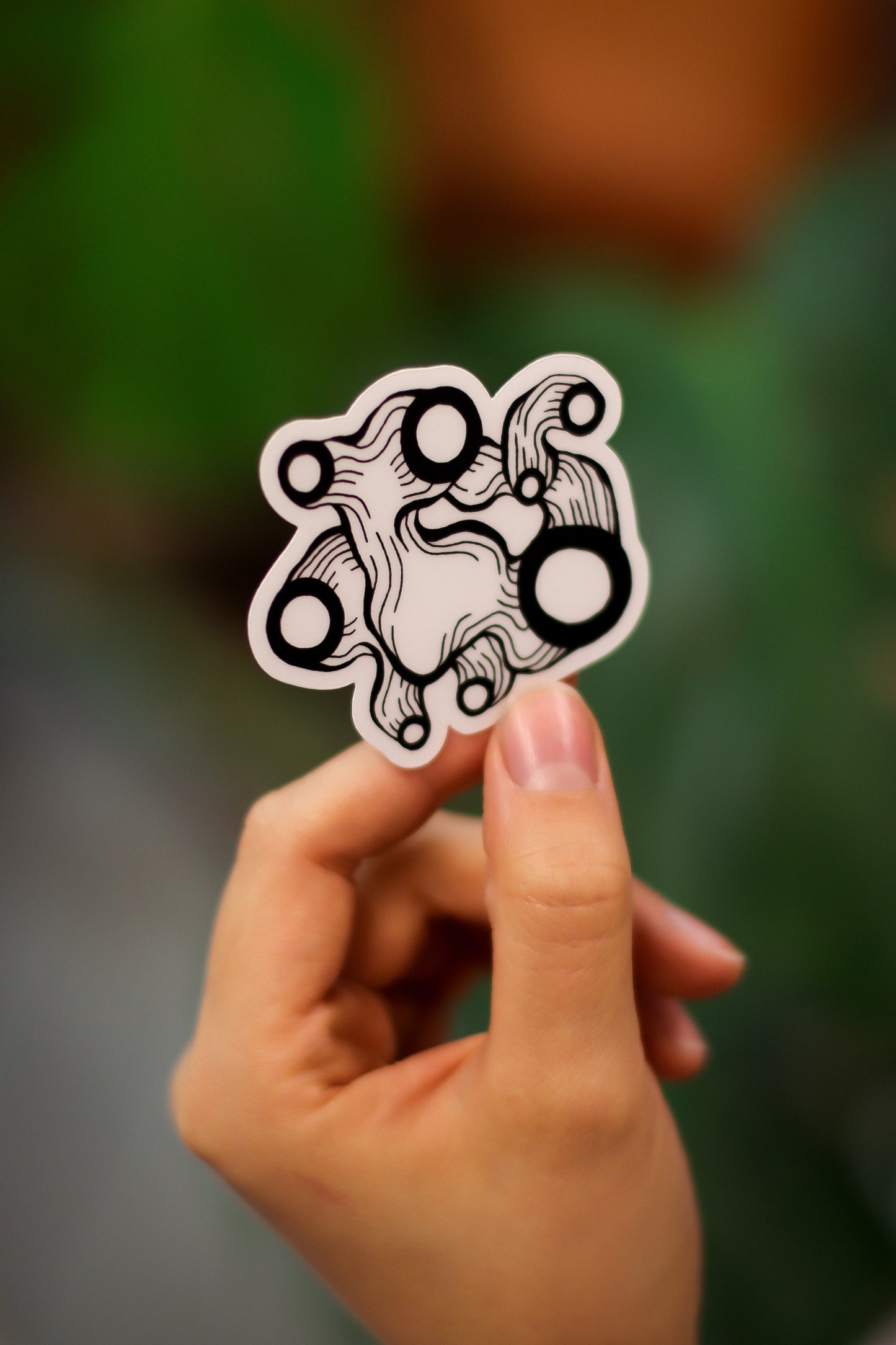 Tarrat ja magneetti -paketti